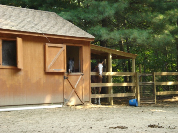 profile of stable